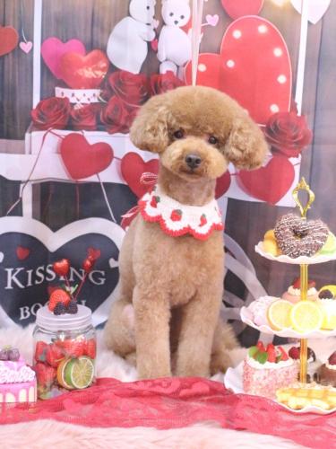 20250223まめくん